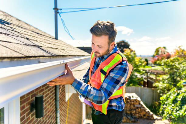 Best Roof Insulation Installation  in Pocahontas, IA