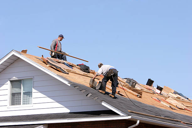 Best Roof Coating and Sealing  in Pocahontas, IA